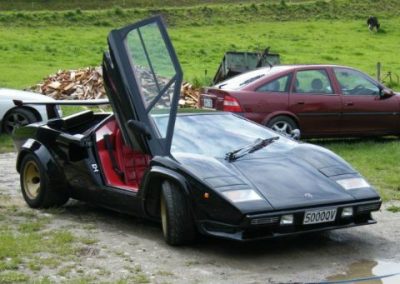 Latin Car Tour 8